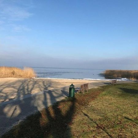 Ferien-Bungalow Im Seebad Ueckermuendeot Bellin Dış mekan fotoğraf